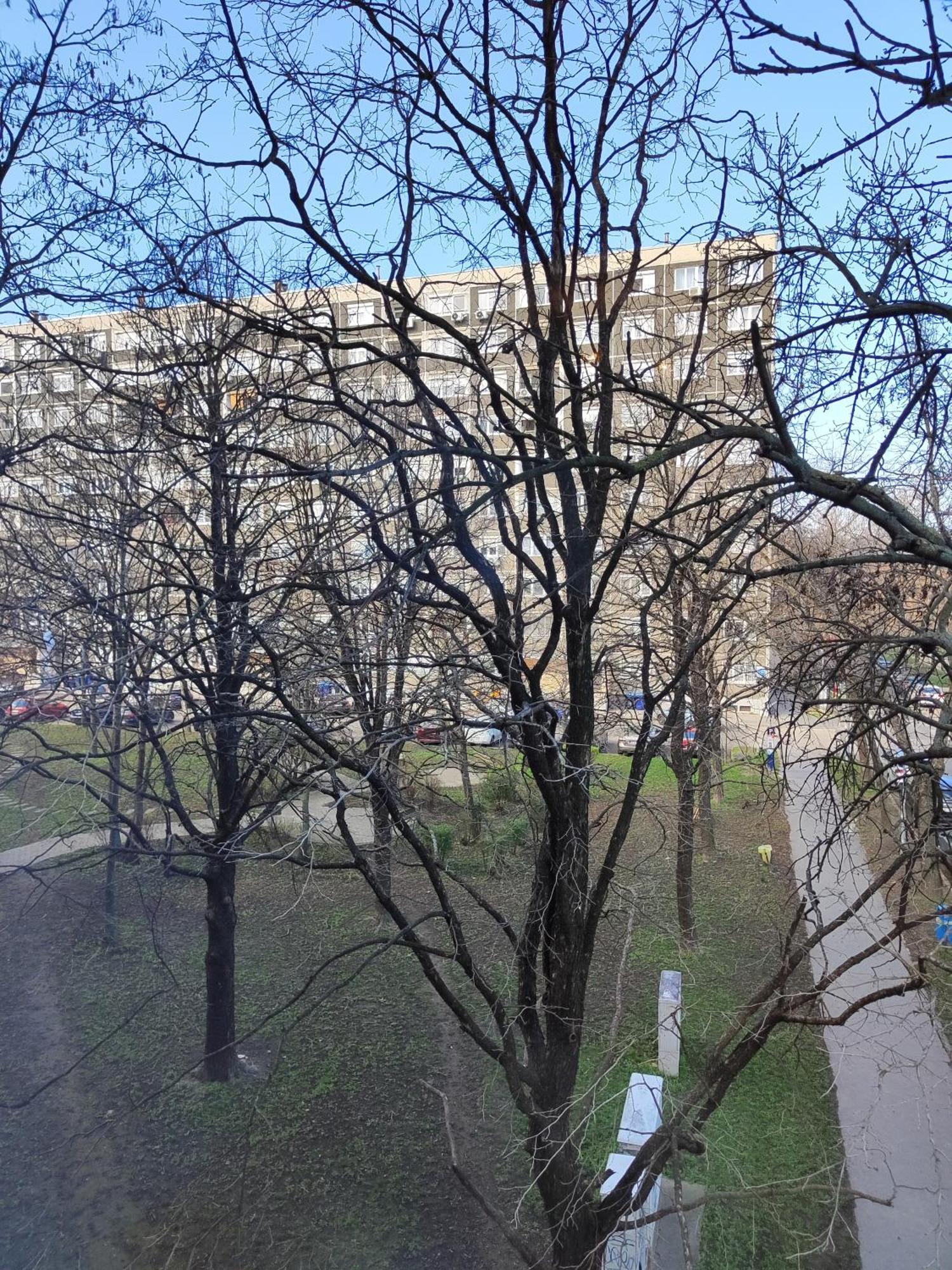 Hegin Exclusiv Budapeszt